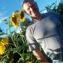 ���������� �����, ���� ������� ������, 50 ���, ������������ ��� ������, ����� � ���������, c�������� ���������