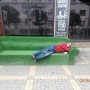  ,   , 43 ,     , c 