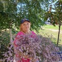 ���������� �����, ���� ������� �������, 61 ���, ������������ ��� ������, ����� � ���������