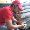  ,   Xasan, 33 ,   ,   , c , 