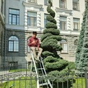 ���������� ������������, ���� ������� �����, 26 ���, ������������ ��� ������, ����� � ���������