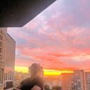 ���������� �������, ���� ������� ����, 46 ���, ������������ ��� ������, ����� � ���������