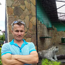  ,   Aider, 45 ,   