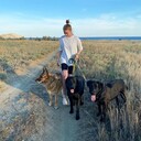 ���������� �����-���������, ���� ������� �����, 30 ���, ������������ ��� ������, ���������