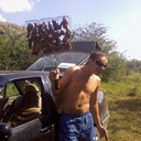  ,   Rusik, 37 ,   ,   , c 