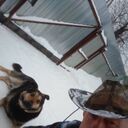  ,   , 62 ,   ,   