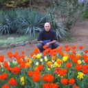  ,   Dawidka, 55 ,     , c 