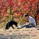  ,   Temo, 34 ,   ,   , c 