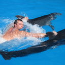 ���������� ������������, ���� ������� ������, 46 ���, ������������ ��� ������, ����� � ���������, c�������� ���������