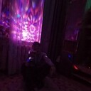 ���������� ����, ���� ������� �������, 28 ���, ������������ ��� ����� � ���������, c�������� ���������, ���������