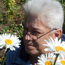  ,   , 65 ,   ,   , c , 