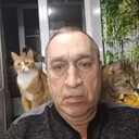 ���������� �������� ���, ���� ������� ���������, 66 ���, ������������ ��� c�������� ���������, ���������