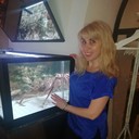 ���������� ������, ���� ������� �����, 50 ���, ������������ ��� ����� � ���������, c�������� ���������