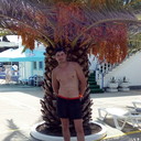  ,   , 41 ,  