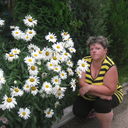 ���������� ����, ���� ������� ����, 48 ���, ������������ ��� ������, ����� � ���������, c�������� ���������