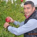 ���������� ����, ���� ������� Farman, 46 ���, ������������ ��� ����� � ���������, c�������� ���������