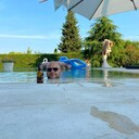  ,   Vladislav, 45 ,   ,   