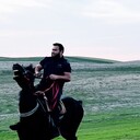 ���������� �������, ���� ������� ������, 36 ���, ������������ ��� ������, ����� � ���������