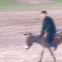 ���������� �������, ���� ������� ��������, 48 ���, ������������ ��� ������, ����� � ���������, c�������� ���������