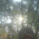 ���������� �����������, ���� ������� ����, 37 ���, ������������ ��� c�������� ���������