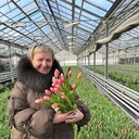  ,   , 56 ,   ,   , c , 