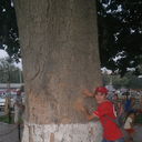  -,   Marat, 38 ,     , c , 