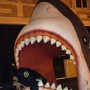 ���������� ������, ���� ������� Sofiya, 33 ����, ������������ 