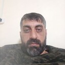  -,   HOVO, 40 ,   ,   