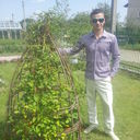 ���������� �����, ���� ������� Brus, 31 ���, ������������ ��� ������, ����� � ���������, c�������� ���������