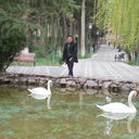 ���������� �������, ���� ������� Temuri, 49 ���, ������������ ��� ������