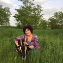  ,   , 60 ,  