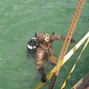 ���������� ���������, ���� ������� �������, 45 ���, ������������ ��� ������, ����� � ���������, c�������� ���������