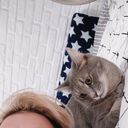 ���������� �������-�����, ���� ����� ����, 25 ���, ������������ ��� ������, ����� � ���������, ���������