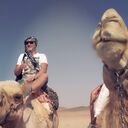 ���������� ������, ���� ������� ����, 43 ����, ������������ ��� ������, ����� � ���������