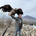 ���������� ���������, ���� ������� ��������, 38 ���, ������������ ��� ������, ����� � ���������, c�������� ���������, ���������