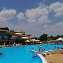 ���������� ���������, ���� ������� �����, 39 ���, ������������ ��� ������, ����� � ���������