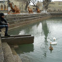 ���������� ������, ���� ������� Deni, 36 ���, ������������ ��� ����� � ���������, c�������� ���������