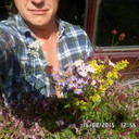  ,   , 67 ,   