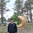 ���������� ������, ���� ������� ����, 41 ���, ������������ ��� ����� � ���������, c�������� ���������