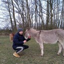  ,   , 32 ,   ,   , c 