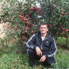  ,    37, 49 ,     , c 