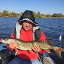 ���������� ���������, ���� ������� �����, 41 ���, ������������ ��� ������, ����� � ���������, c�������� ���������