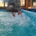 ���������� ������, ���� ������� ����, 38 ���, ������������ ��� ������, ����� � ���������, c�������� ���������