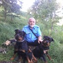  ,   , 65 ,   