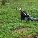 ���������� �����������, ���� ������� ����, 46 ���, ������������ ��� ������, ����� � ���������