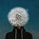 ���������� ������, ���� ������� ��������, 39 ���, ������������ 