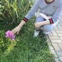 ���������� ������, ���� ������� ��������, 41 ���, ������������ ��� ������, ����� � ���������