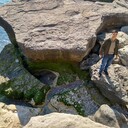  ,   RusBek, 37 ,     , c 