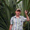 ���������� ������, ���� ������� Odik, 55 ���, ������������ ��� ������, ����� � ���������, c�������� ���������