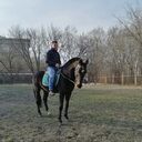 ���������� ������, ���� ������� ������, 38 ���, ������������ ��� ������, ����� � ���������, c�������� ���������